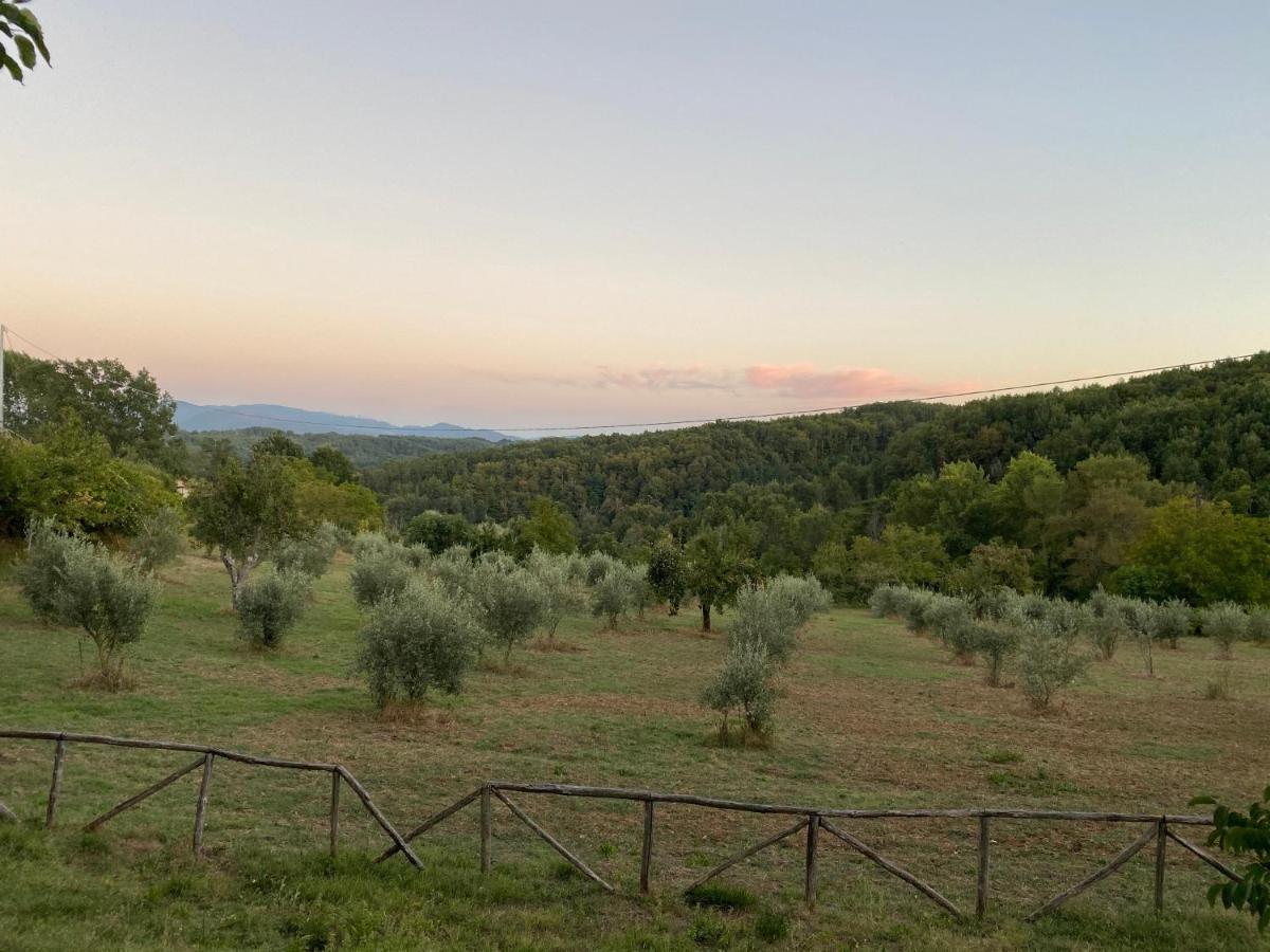 Agriturismo Borgo Serafino Mangone (Cosenza) Exterior foto